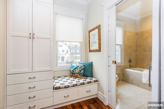 mudroom with ornamental molding