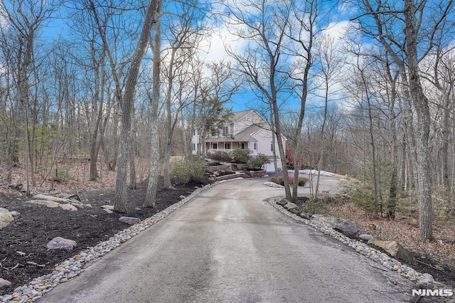 view of road with driveway