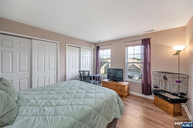 bedroom featuring multiple closets and wood-type flooring