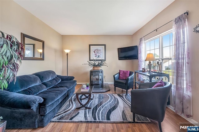 living room featuring hardwood / wood-style floors