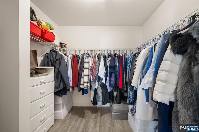 spacious closet featuring light hardwood / wood-style floors