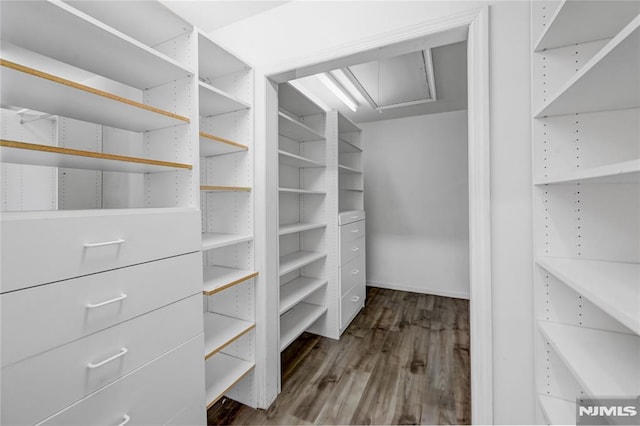 spacious closet with dark hardwood / wood-style flooring