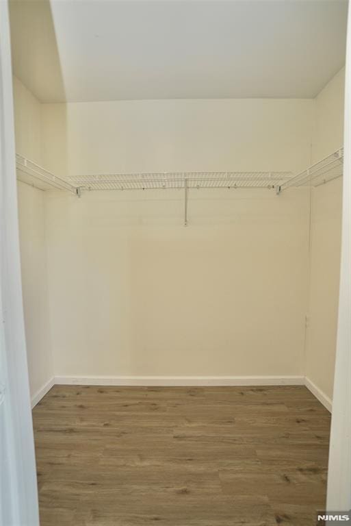 walk in closet featuring dark hardwood / wood-style flooring