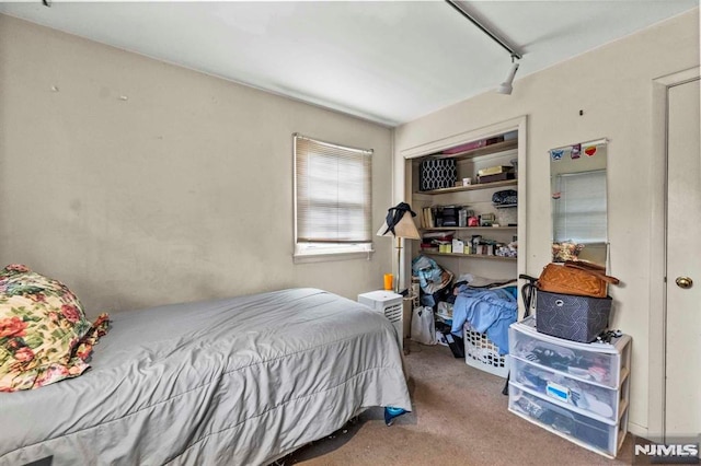 bedroom with carpet