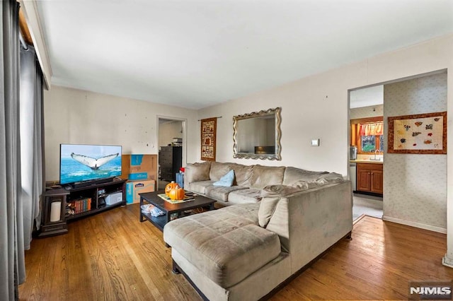 living room featuring hardwood / wood-style flooring and sink