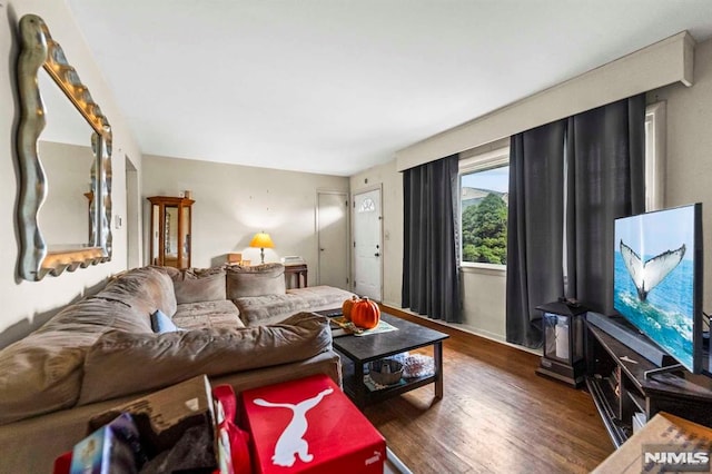 living room with dark hardwood / wood-style flooring