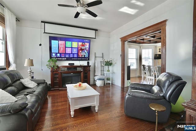 living room with ceiling fan and dark hardwood / wood-style floors