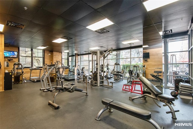 exercise room with wood walls, a healthy amount of sunlight, and a drop ceiling