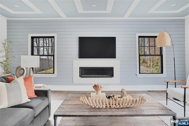 living room with crown molding, wood-type flooring, and a fireplace