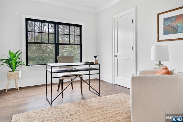 office area with wood-type flooring and crown molding