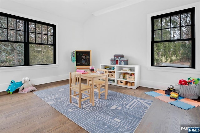 game room featuring hardwood / wood-style flooring