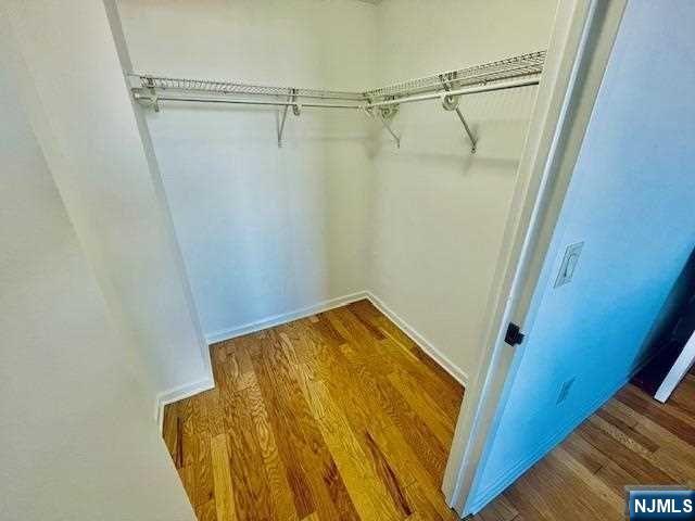 walk in closet featuring wood-type flooring