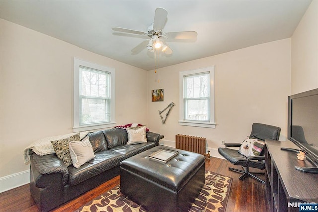 living room featuring a wealth of natural light, radiator heating unit, dark hardwood / wood-style floors, and ceiling fan