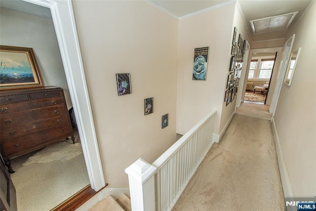 hallway with light carpet and crown molding