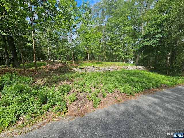 Listing photo 3 for 15 Lakeside Dr, Sussex NJ 07461