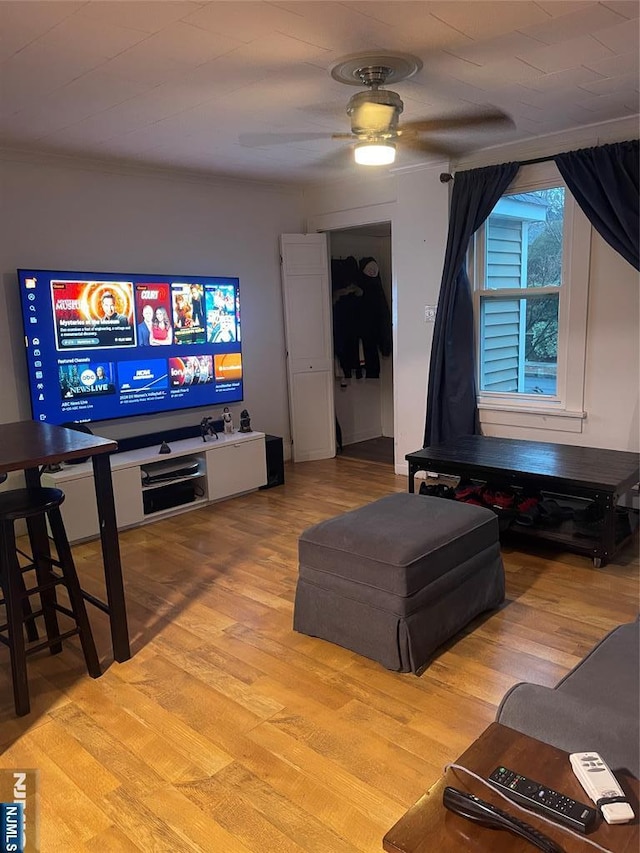 living room with ceiling fan and light hardwood / wood-style floors