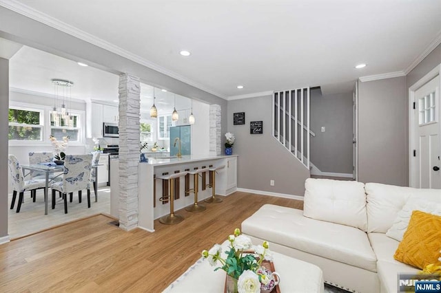 living room featuring ornamental molding and light hardwood / wood-style flooring