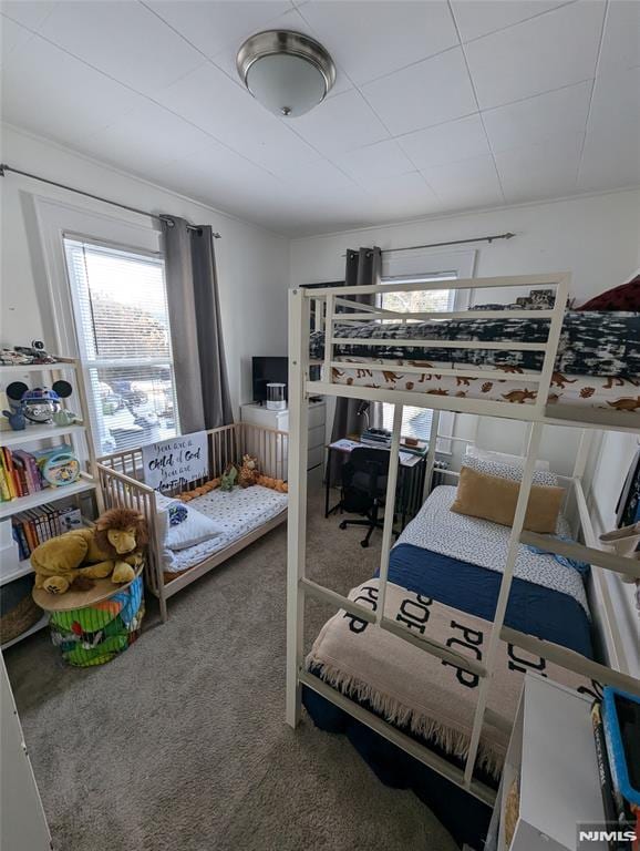 bedroom with carpet flooring