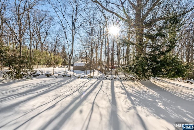 view of yard covered in snow