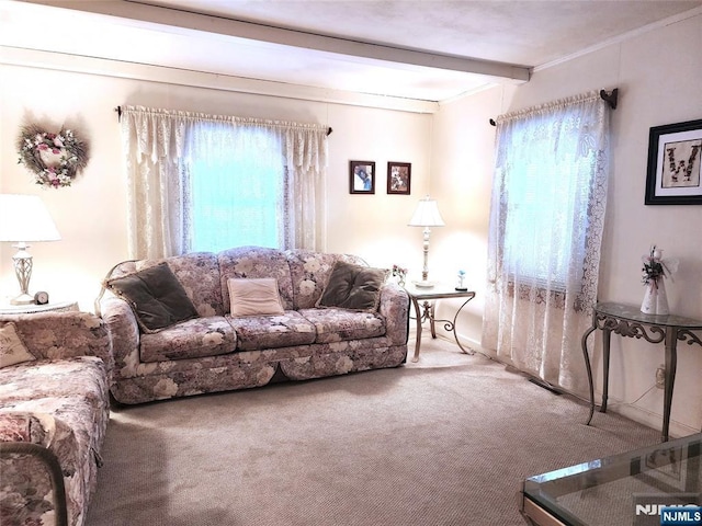 carpeted living room with beamed ceiling