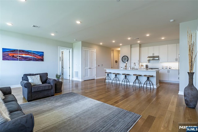 living room featuring sink and hardwood / wood-style floors