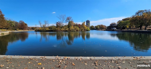 view of water feature