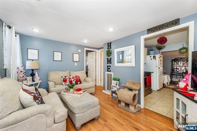 living room featuring light hardwood / wood-style floors