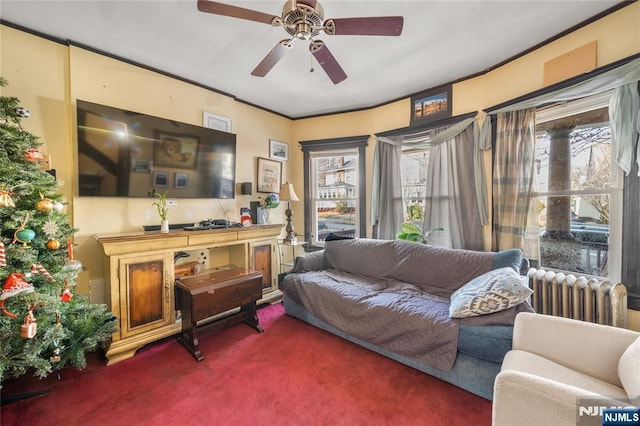 carpeted living room with ceiling fan and radiator