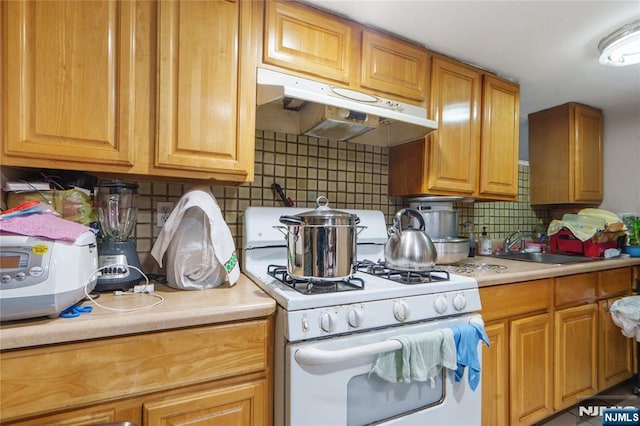 kitchen featuring backsplash, sink, and gas range gas stove