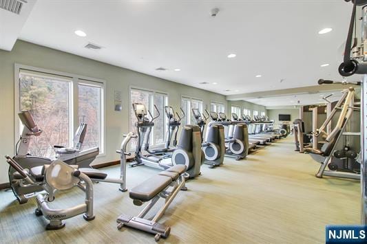 exercise room with light carpet