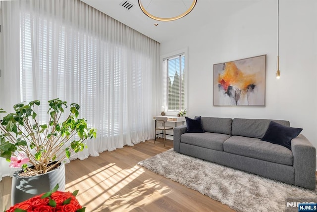 living room featuring hardwood / wood-style floors