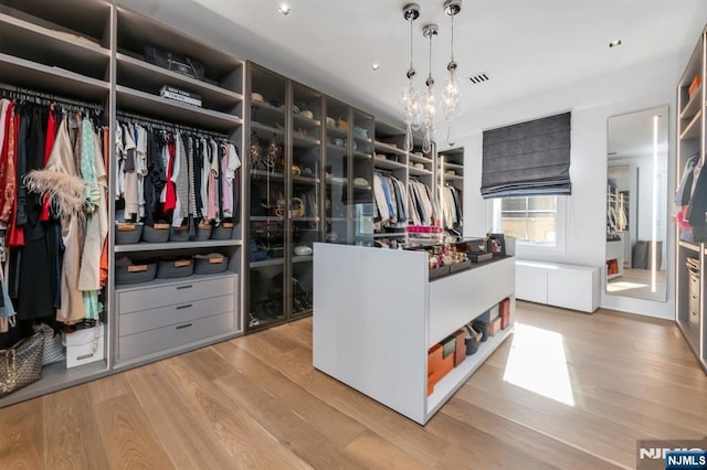spacious closet with light hardwood / wood-style flooring