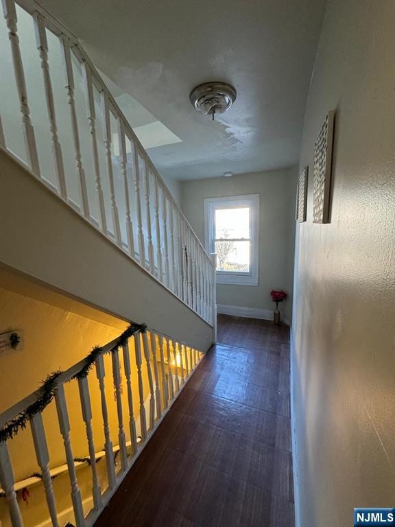 hallway featuring dark hardwood / wood-style floors