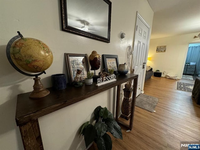 hall featuring light hardwood / wood-style floors