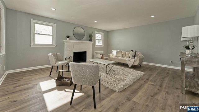 living room featuring dark hardwood / wood-style flooring and a fireplace