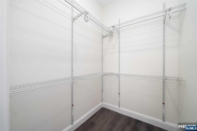 spacious closet featuring dark hardwood / wood-style flooring