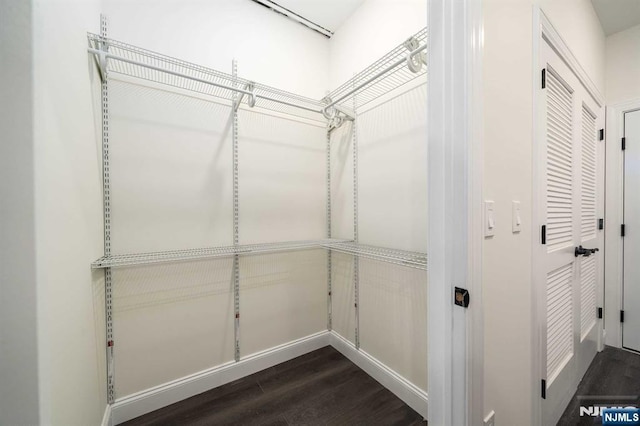 walk in closet featuring dark hardwood / wood-style floors