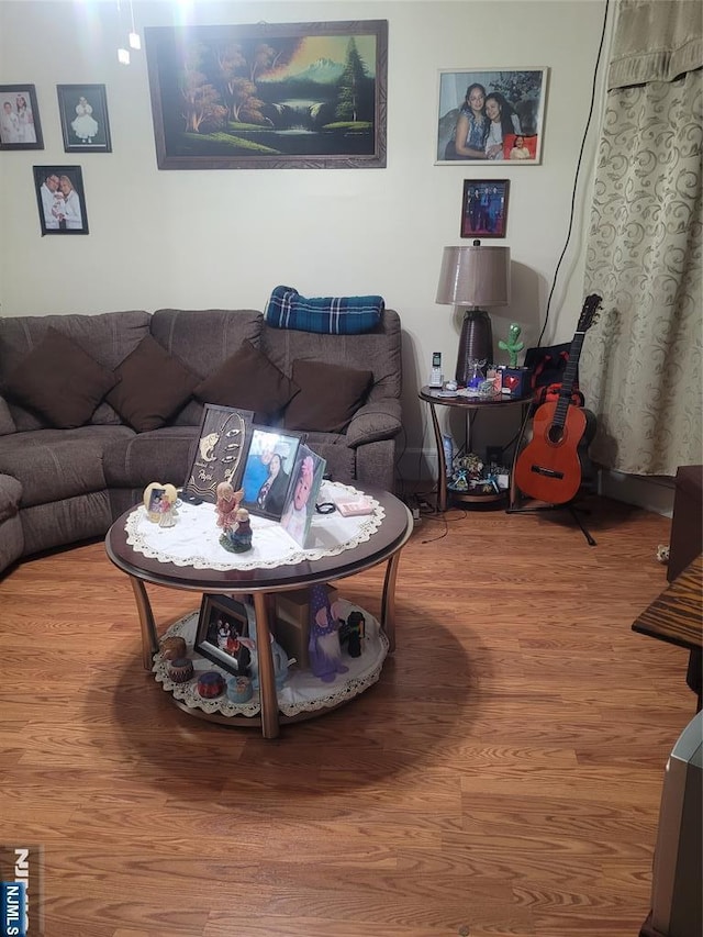 living room featuring hardwood / wood-style floors