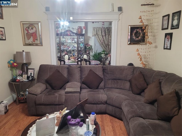 living room with hardwood / wood-style flooring