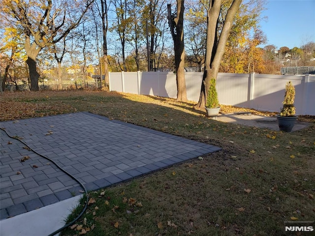 view of yard featuring a patio area