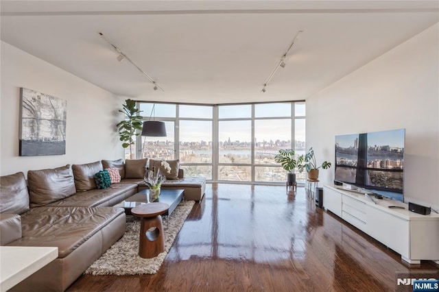 living room featuring hardwood / wood-style floors, track lighting, and expansive windows