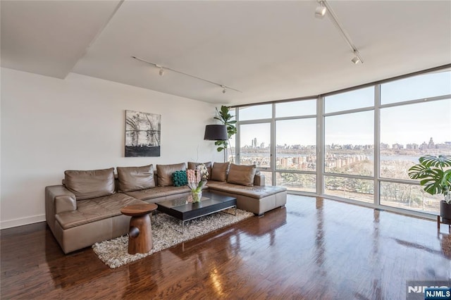 living room with wood-type flooring, rail lighting, and expansive windows