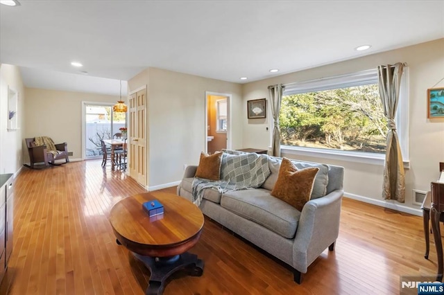 living room with wood-type flooring