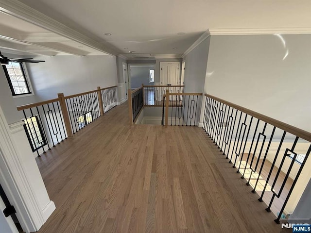 hallway featuring wood-type flooring and ornamental molding