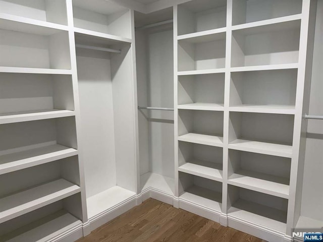 spacious closet featuring dark wood-type flooring