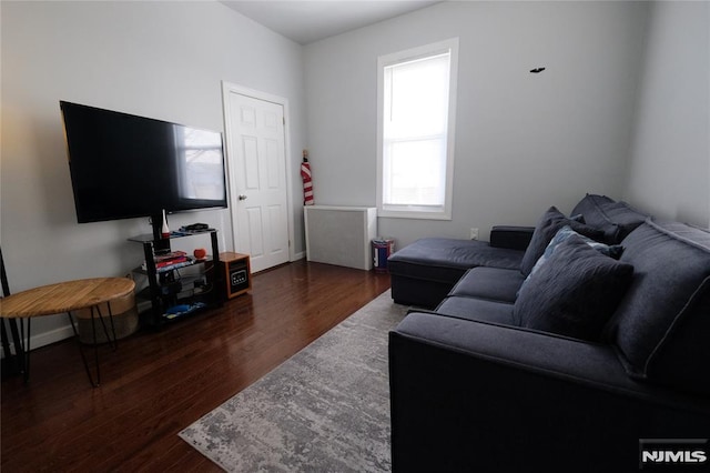 living room with dark wood-type flooring