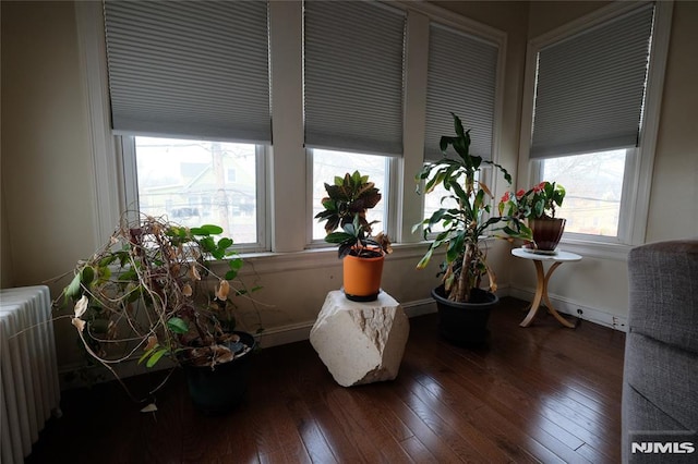 living area with radiator and dark hardwood / wood-style floors