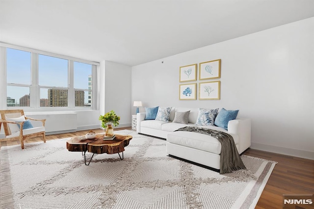 living room featuring hardwood / wood-style floors