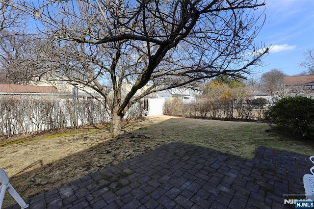 view of yard featuring a patio area and a fenced backyard