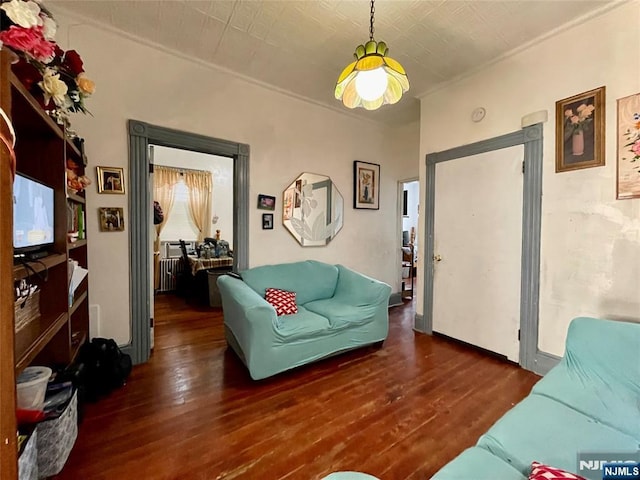 living room with radiator heating unit and dark hardwood / wood-style floors